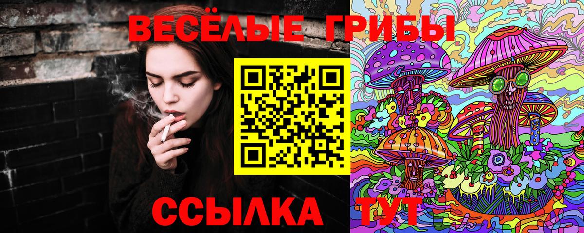 Галлюциногенные грибы Cubensis Азов